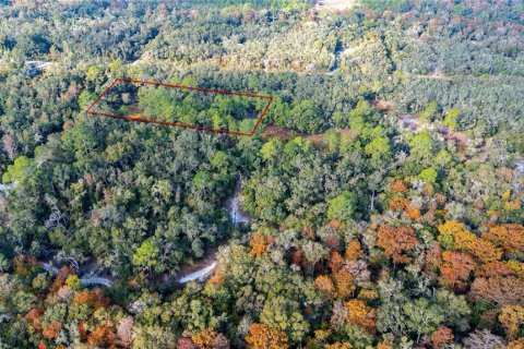 Land in Webster, Florida № 2161519 - photo 10