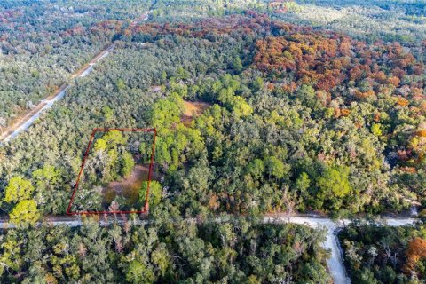 Land in Webster, Florida № 2161519 - photo 2