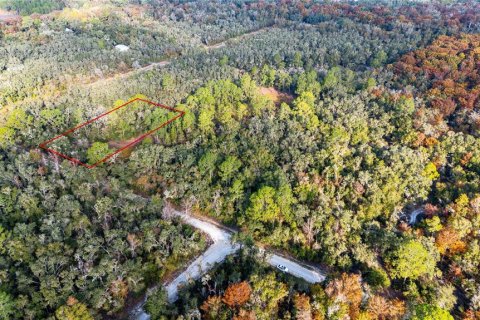 Land in Webster, Florida № 2161519