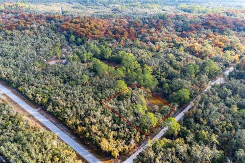 Land in Webster, Florida № 2161519 - photo 3