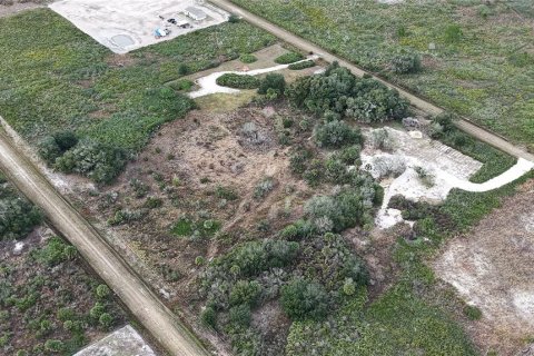 Land in Okeechobee, Florida № 2165474 - photo 9