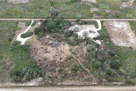 Land in Okeechobee, Florida № 2165474 - photo 5