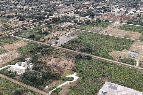 Land in Okeechobee, Florida № 2165474 - photo 26