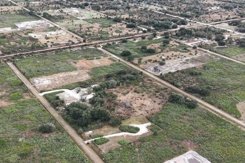 Land in Okeechobee, Florida № 2165474 - photo 27