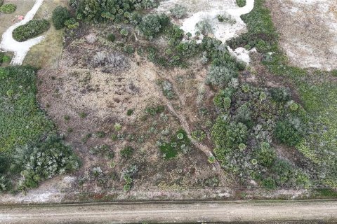 Land in Okeechobee, Florida № 2165474 - photo 4