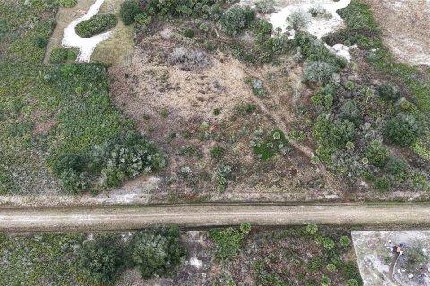 Land in Okeechobee, Florida № 2165474 - photo 2