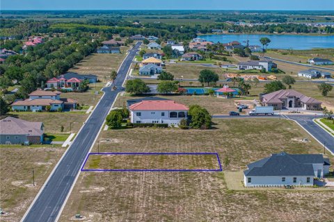 Terreno en venta en Lake Alfred, Florida № 1152565 - foto 7