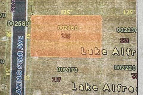 Terreno en venta en Lake Alfred, Florida № 1152565 - foto 1