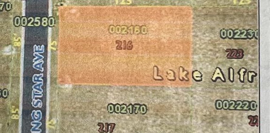 Terreno en Lake Alfred, Florida № 1152565