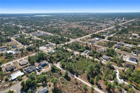 Купить земельный участок в Лихай-Эйкерс, Флорида № 2150500 - фото 12