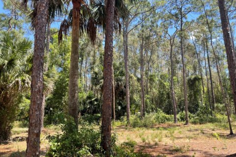 Land in Loxahatchee Groves, Florida № 1121123 - photo 1