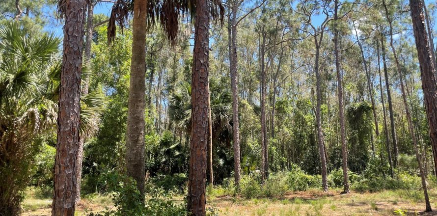 Land in Loxahatchee Groves, Florida № 1121123