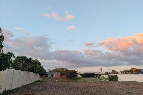 Land in Cape Coral, Florida № 2109172 - photo 7