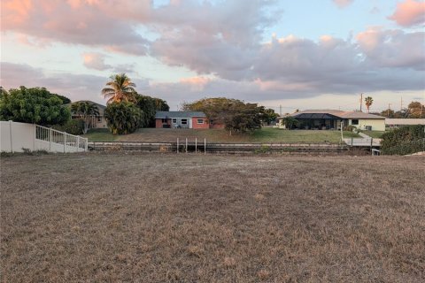 Land in Cape Coral, Florida № 2109172 - photo 16