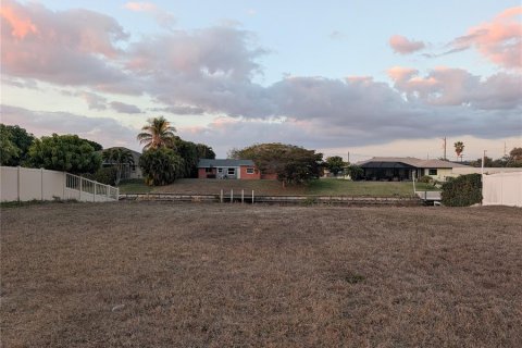 Land in Cape Coral, Florida № 2109172 - photo 5