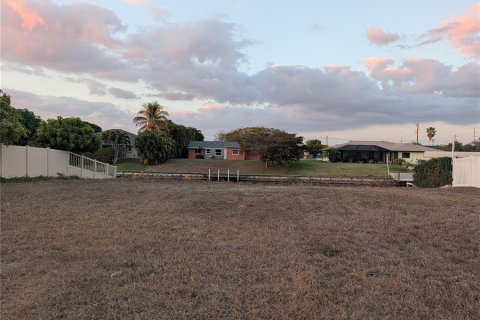 Land in Cape Coral, Florida № 2109172 - photo 6