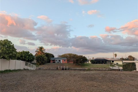 Land in Cape Coral, Florida № 2109172 - photo 10