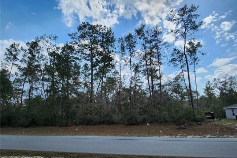 Terrain à vendre à Ocala, Floride № 1917031 - photo 2