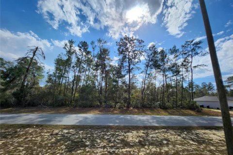Terrain à vendre à Ocala, Floride № 1917031 - photo 4