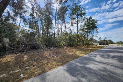 Terrain à vendre à Ocala, Floride № 1917031 - photo 6
