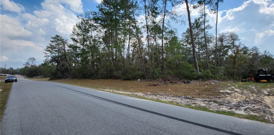 Terrain à Ocala, Floride № 1917031