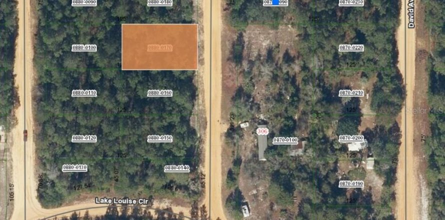 Land in Interlachen, Florida № 2161263