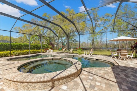 House in Odessa, Florida 6 bedrooms, 599.59 sq.m. № 1593300 - photo 20