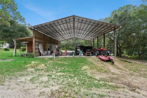 Land in Belleview, Florida № 2272991 - photo 14