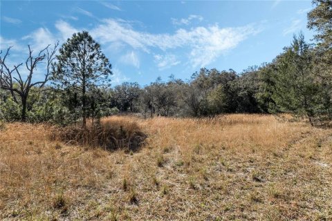 Land in Belleview, Florida № 2272991 - photo 9