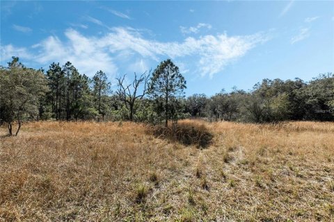 Land in Belleview, Florida № 2272991 - photo 8