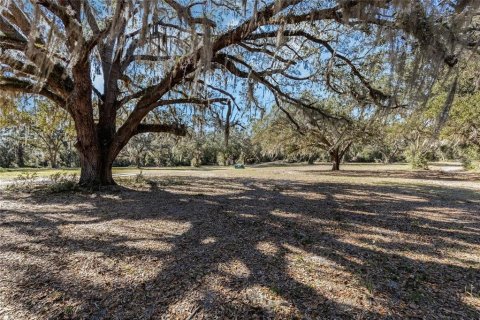 Land in Belleview, Florida № 2272991 - photo 6