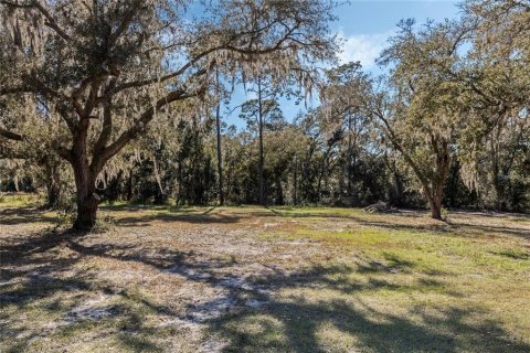 Land in Belleview, Florida № 2272991 - photo 7