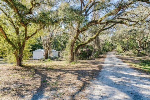 Land in Belleview, Florida № 2272991 - photo 5