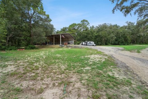 Land in Belleview, Florida № 2272991 - photo 12