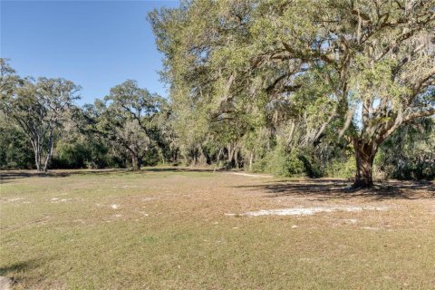 Land in Belleview, Florida № 2272991 - photo 11
