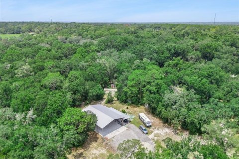 Land in Belleview, Florida № 2272991 - photo 25