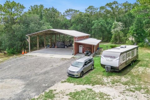 Land in Belleview, Florida № 2272991 - photo 21
