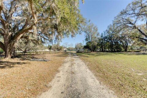 Land in Belleview, Florida № 2272991 - photo 3