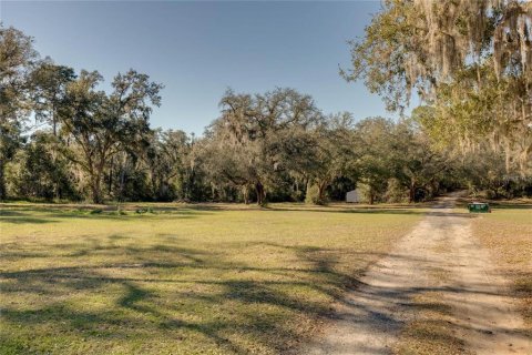Land in Belleview, Florida № 2272991 - photo 4