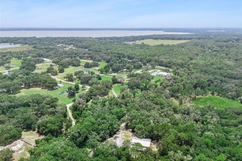 Land in Belleview, Florida № 2272991 - photo 29