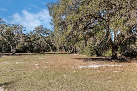 Land in Belleview, Florida № 2272991 - photo 10