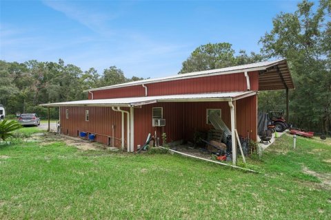 Land in Belleview, Florida № 2272991 - photo 20