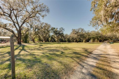 Land in Belleview, Florida № 2272991