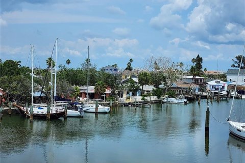 Land in Madeira Beach, Florida № 1681077 - photo 3