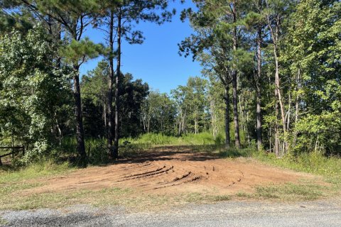 Land in Callahan, Florida № 772420 - photo 1