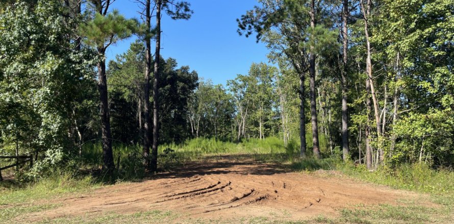 Land in Callahan, Florida № 772420