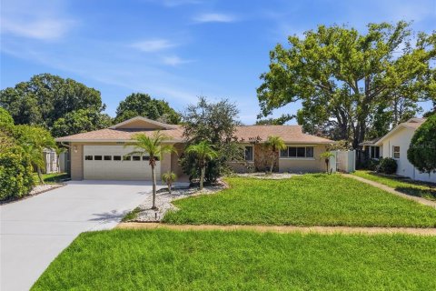 House in Tarpon Springs, Florida 5 bedrooms, 236.81 sq.m. № 2302647