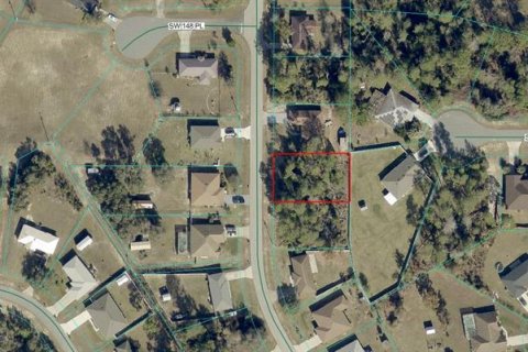 Land in Ocala, Florida № 2383482