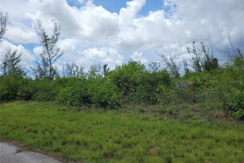 Terrain à vendre à Port Charlotte, Floride № 2204088 - photo 3