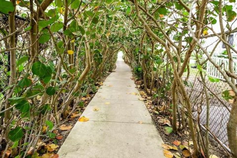 Apartamento en alquiler en Palm Beach Shores, Florida, 1 dormitorio, 501.67 m2 № 1145871 - foto 1